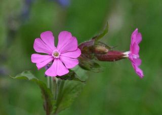 행복농장님의 자유주제 · 자유게시판 작성글 사진