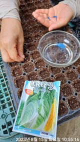 팜모닝 배추·일상 게시글 이미지