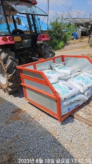 수환이네농장님의 배추 · 일상 작성글 사진