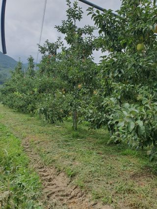 이훈희님의 사과 · 일상 작성글 사진