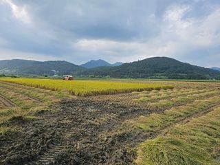 부농부농님의 벼 · 영농일지 작성글 사진