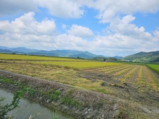 부농부농님의 벼 · 영농일지 작성글 사진