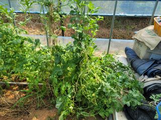 남궁. 정님의 기타작물 · 자유게시판 작성글 사진