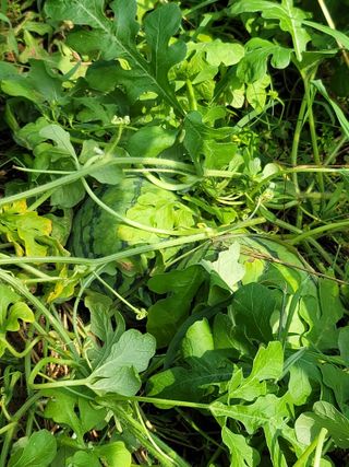 남궁. 정님의 기타작물 · 자유게시판 작성글 사진