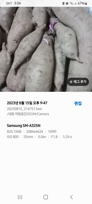 알 수 없음님의 고구마 · 자유게시판 작성글 사진