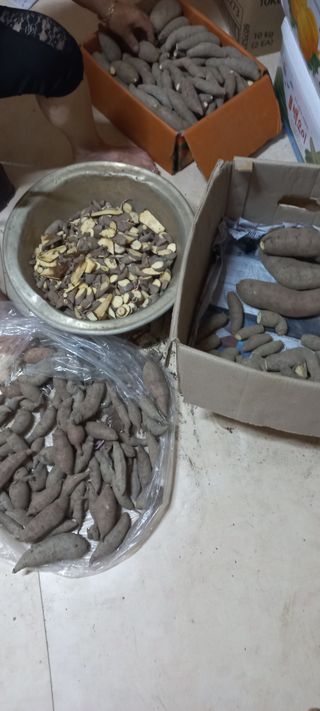 알 수 없음님의 고구마 · 자유게시판 작성글 사진