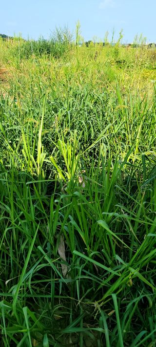 행복농장님의 자유주제 · 자유게시판 작성글 사진