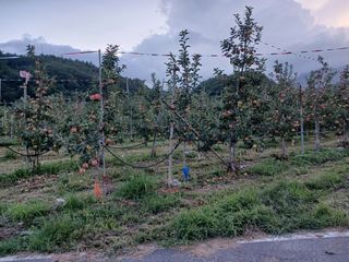알 수 없음님의 우리동네 · 동네수다 작성글 사진