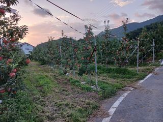 알 수 없음님의 우리동네 · 동네수다 작성글 사진