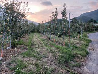 알 수 없음님의 우리동네 · 동네수다 작성글 사진
