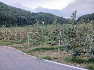 알 수 없음님의 우리동네 · 동네수다 작성글 사진