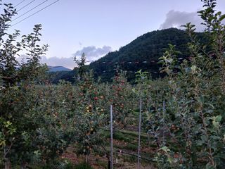 알 수 없음님의 우리동네 · 동네수다 작성글 사진