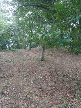 김대업님의 자유주제 · 자유게시판 작성글 사진