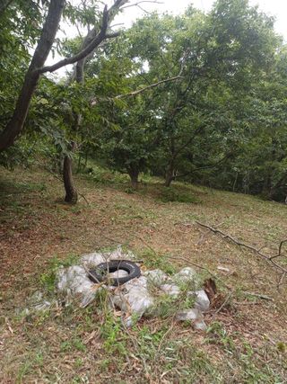 김대업님의 자유주제 · 자유게시판 작성글 사진