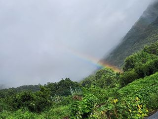 소나무1님의 자유주제 · 자유게시판 작성글 사진