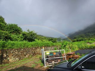 소나무1님의 자유주제 · 자유게시판 작성글 사진