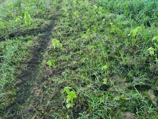 민은경님의 나의 농사 필수품 소개하기 · 참여글 작성글 사진