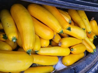 남 샘결 개둥맘님의 자유주제 · 자유게시판 작성글 사진