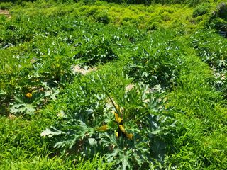 남 샘결 개둥맘님의 자유주제 · 자유게시판 작성글 사진