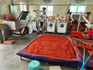 꽃순이네님의 고추 · 수확 작성글 사진