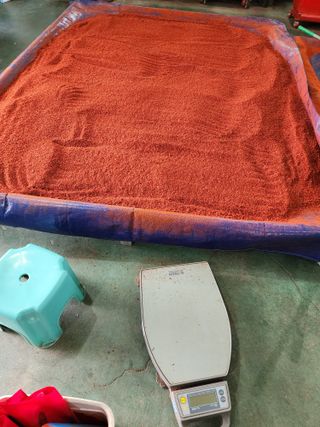 꽃순이네님의 고추 · 수확 작성글 사진