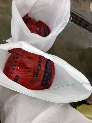 꽃순이네님의 고추 · 수확 작성글 사진