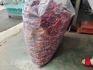 꽃순이네님의 고추 · 수확 작성글 사진