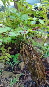 팜모닝 기타작물·자유게시판 게시글 이미지