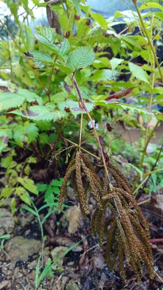 임오빈님의 기타작물 · 자유게시판 작성글 사진