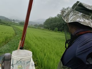 한재승님의 벼 · 영농일지 작성글 사진
