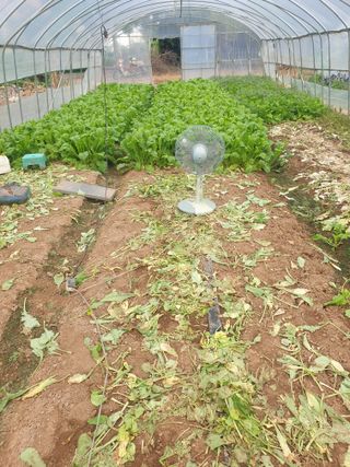 김화연님의 자유주제 · 자유게시판 작성글 사진