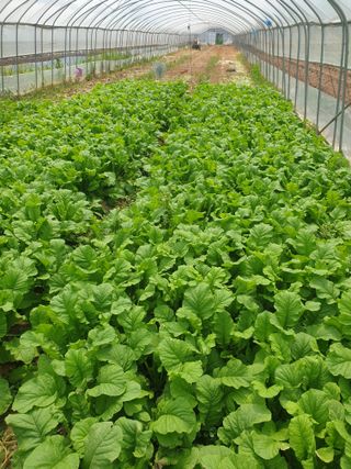 김화연님의 자유주제 · 자유게시판 작성글 사진