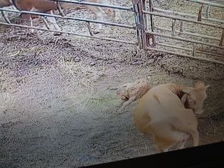 오임돈님의 우리동네 · 동네수다 작성글 사진