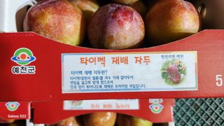 김준한님의 자두 · 자유게시판 작성글 사진