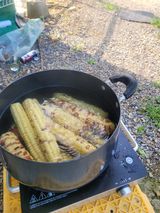 팜모닝 자유주제·자유게시판 게시글 이미지