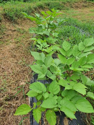 행복하게~님의 자유주제 · 자유게시판 작성글 사진