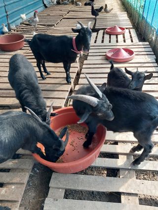 이옥신님의 작성글 사진