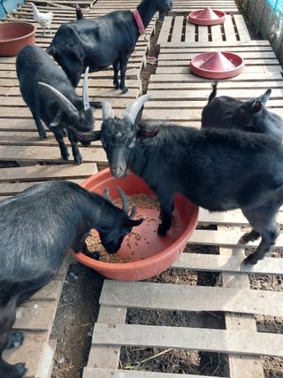 이옥신님의 작성글 사진