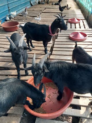 이옥신님의 작성글 사진