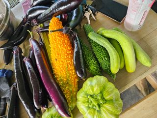 Bmww2226님의 나의 농사 필수품 소개하기 · 참여글 작성글 사진