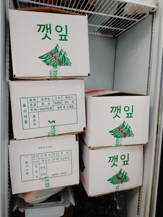 윤재하님의 들깨 · 자유게시판 작성글 사진