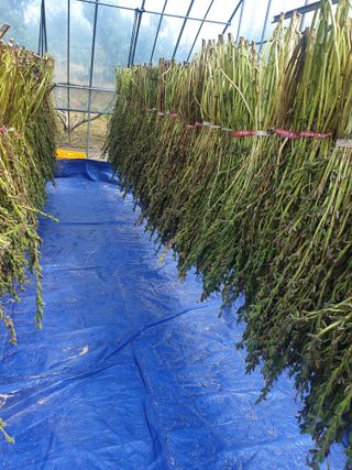 김주희님의 참깨 · 자유게시판 작성글 사진