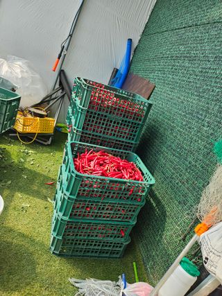 에덴농원나장미입니다님의 나의 농사 필수품 소개하기 · 참여글 작성글 사진