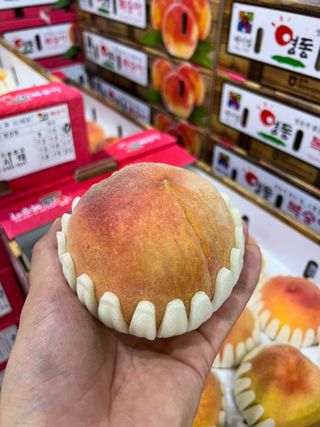 알 수 없음님의 작성글 사진