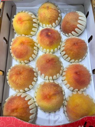 알 수 없음님의 작성글 사진