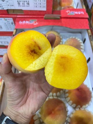 알 수 없음님의 작성글 사진