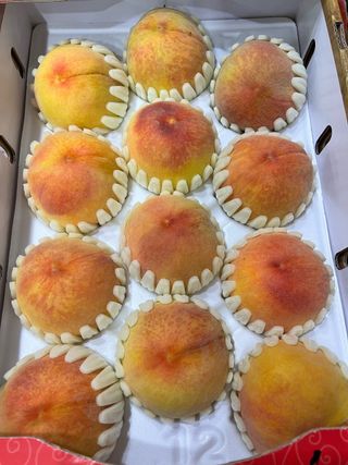 알 수 없음님의 작성글 사진