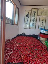 팜모닝 나의 농사 필수품 소개하기·참여글 게시글 이미지