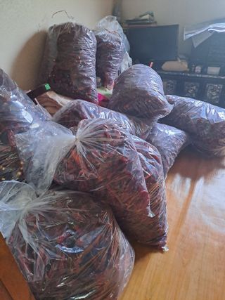 박흠님의 나의 농사 필수품 소개하기 · 참여글 작성글 사진