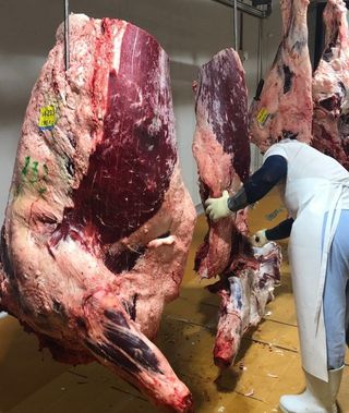 알 수 없음님의 작성글 사진